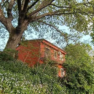 Bed & Breakfast Kikina, Austis